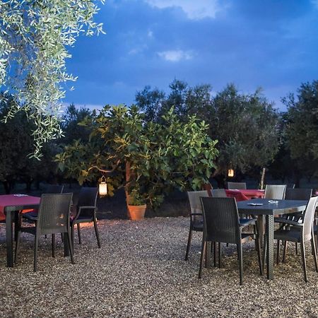 B&B Rifugio Tra Gli Ulivi Campagna Eksteriør billede