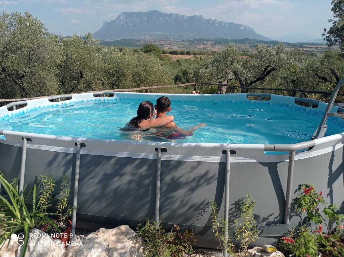 B&B Rifugio Tra Gli Ulivi Campagna Eksteriør billede