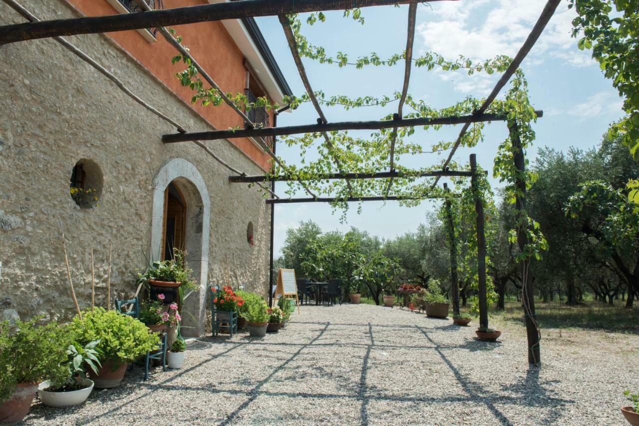 B&B Rifugio Tra Gli Ulivi Campagna Eksteriør billede